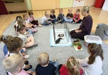 Zajęcia zooterapii w przedszkolu.