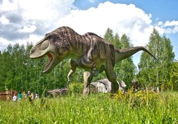 Wybieramy Super Przedszkolaki!