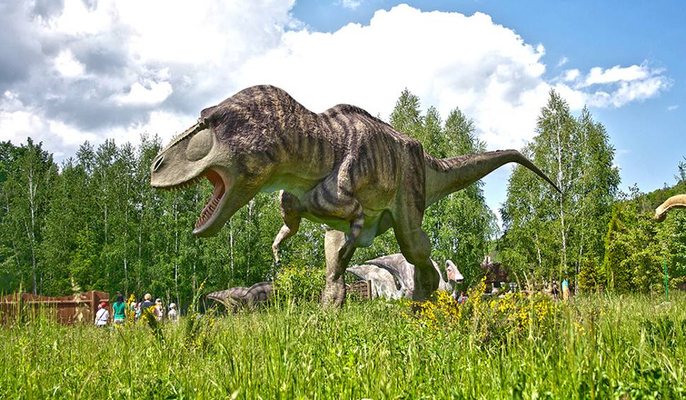 Wybieramy Super Przedszkolaki!