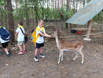 IMG_20260522_135329.jpg
