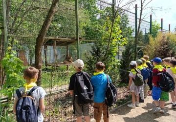 Z wizytą w Mini Zoo „Leśne Zacisze” w Lisowie