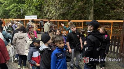 IMG_4371.jpg