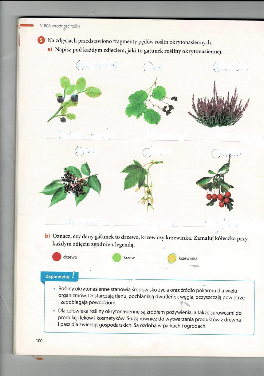 Biologia Klasa Vb Biologia Klasa Vb
